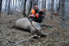 2013 évi munkáinkból