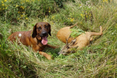 2014. évi munkáinkból