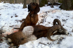 2015. évi munkáinkból