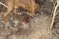 Amikor a csapat összedolgozik