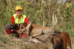 Határtalan vérebmunka