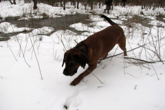 Kaszó 2013 - a \"munkák\" II.