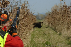 Két lába van: meg is botlik...