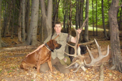 Korábbi utánkeresések képei