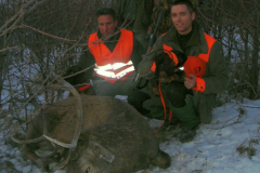 ...míg bele nem kopik a talpa...