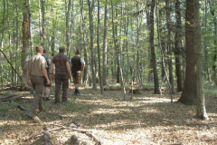 Nemzetközi vércsapa verseny